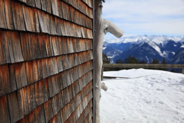 Cedar Siding Repair in Shingle Springs