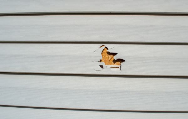 Siding Hole Repair in Shingle Springs