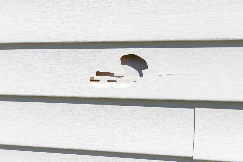 Vinyl Siding Repair Professional Image 2
